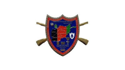Zinc Alloy Challenge Coin