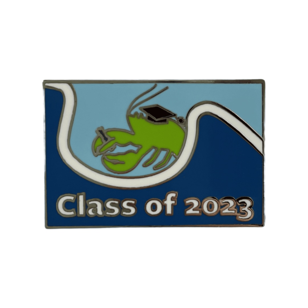 Custom Class of 2023 Frog with Graduation Cap Surfing Hard Enamel Pins