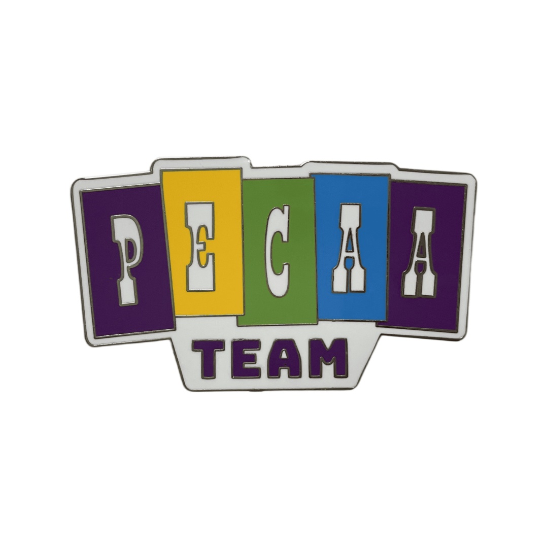 Custom PECA Team Colorful Block Letter Hard Enamel Pins