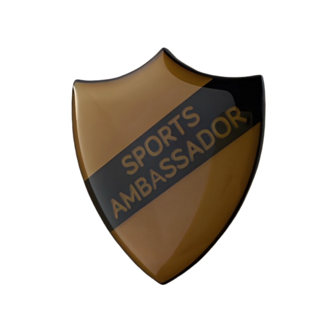 Custom Gold Sports Ambassador Shield Graphic Offset Printed Epoxy Pins